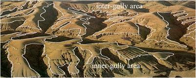 Soil Erosion and Controls in the Slope-Gully System of the Loess Plateau of China: A Review